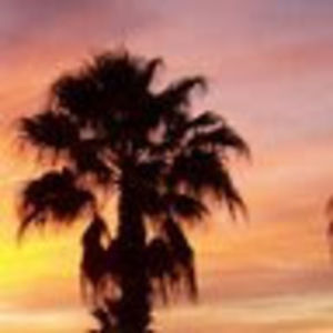 Meet your Posher, Christy